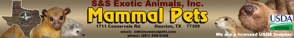 MammalPets : Buy live animals online